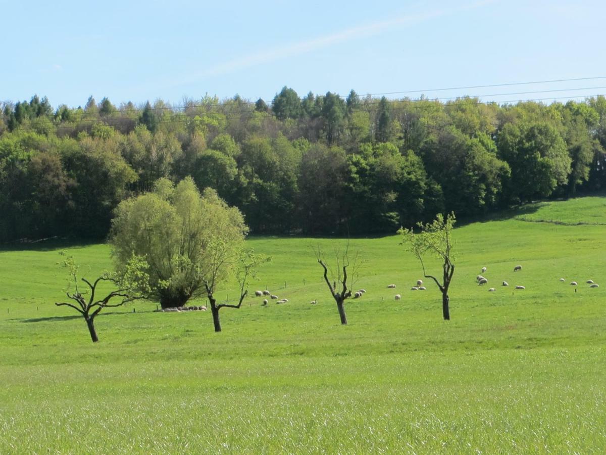 Gites Du Tilleul Gumbrechtshoffen Zewnętrze zdjęcie